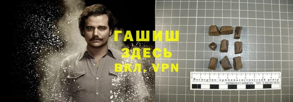 прущие грибы Армянск