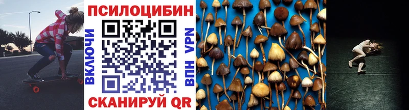 Галлюциногенные грибы Cubensis  где купить наркоту  Стародуб 